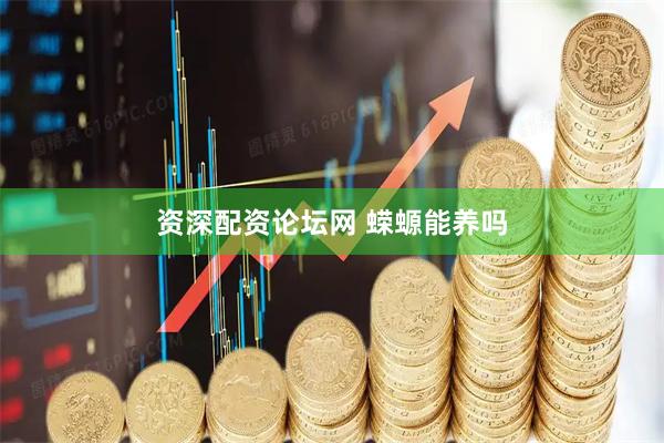资深配资论坛网 蝾螈能养吗