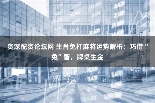 资深配资论坛网 生肖兔打麻将运势解析：巧借“兔”智，牌桌生金